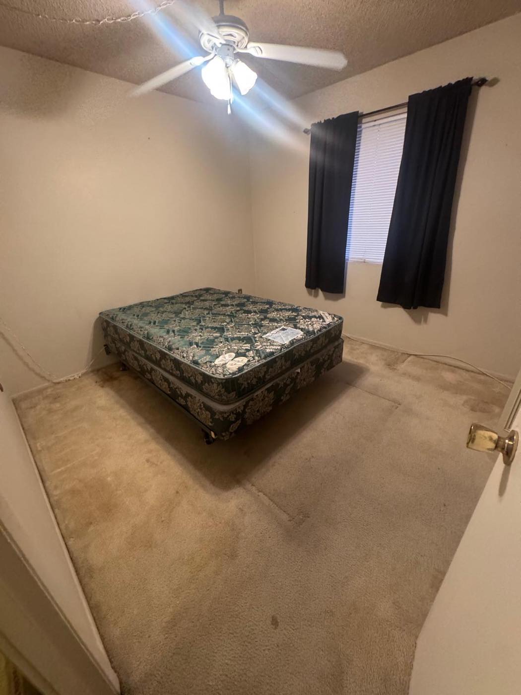Bedroom remodel: carpet out, wood-look tile in — Before